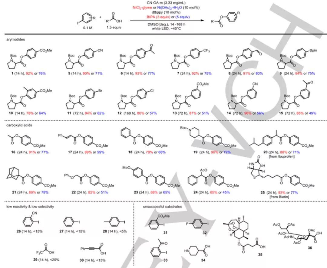 Angew. Chem.：有机镍/氮化碳领衔半异相光催化合成--羧酸与芳基卤化物的酯化反应