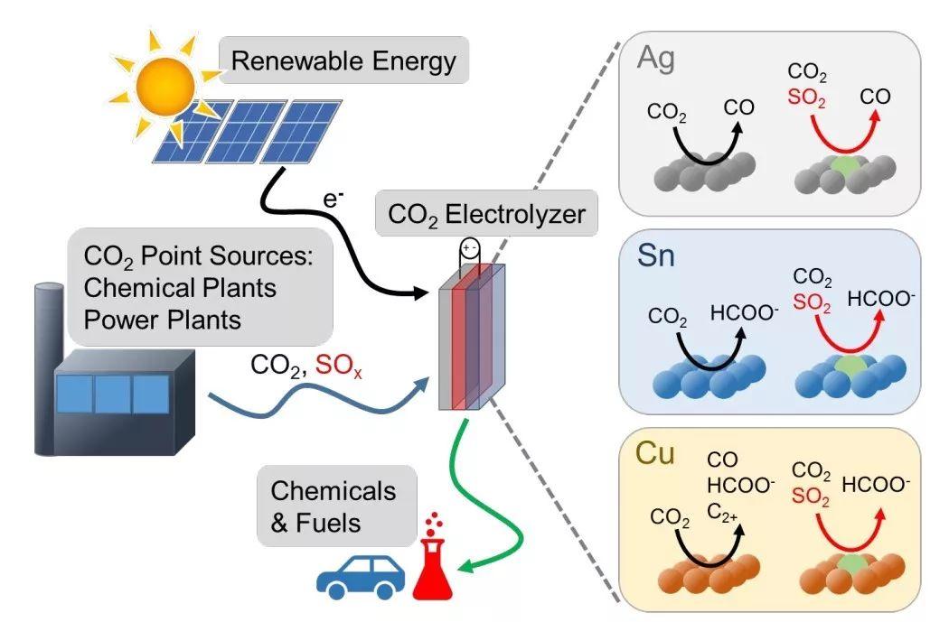 JACS：气体杂质对电催化CO2还原有何影响