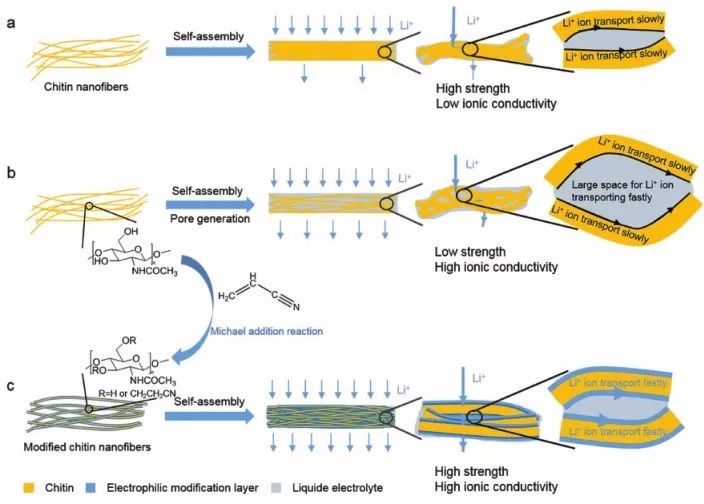 “老树”发“新芽”：天然高分子纳米纤维改性得到可持续、高性能的隔膜