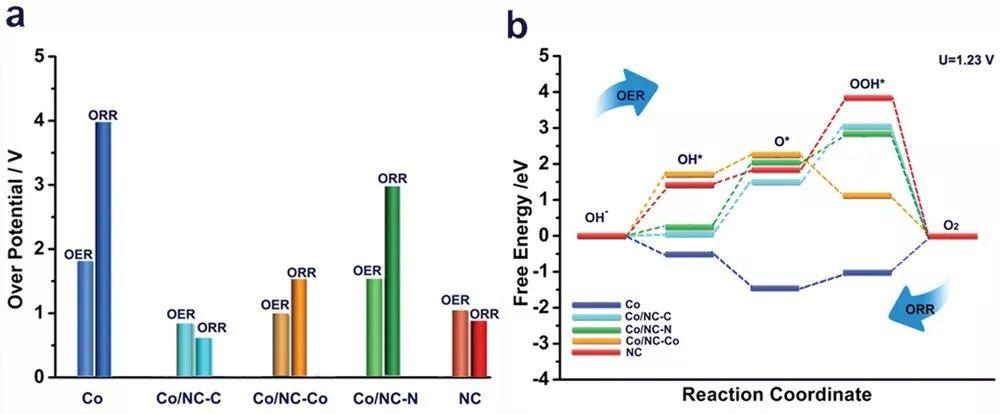 AM：负载Co纳米岛的Co-N-C纳米片用作锌空电池中的高效氧催化剂