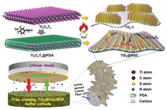 AEM：三明治结构的TiS2@NSC用于高性能锂-硫电池