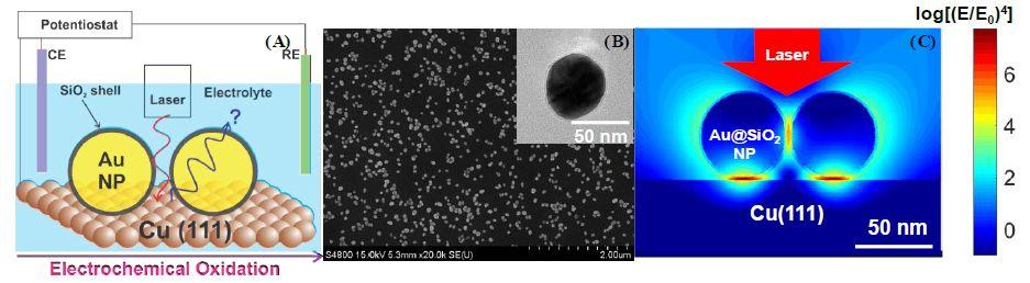 新技术＆新理解：壳分离纳米粒子增强拉曼光谱诠释Cu电化学氧化新研究