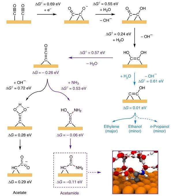 Nature Chemistry重磅：CO与NH3共赴一池，C-N键电解而出产生酰胺