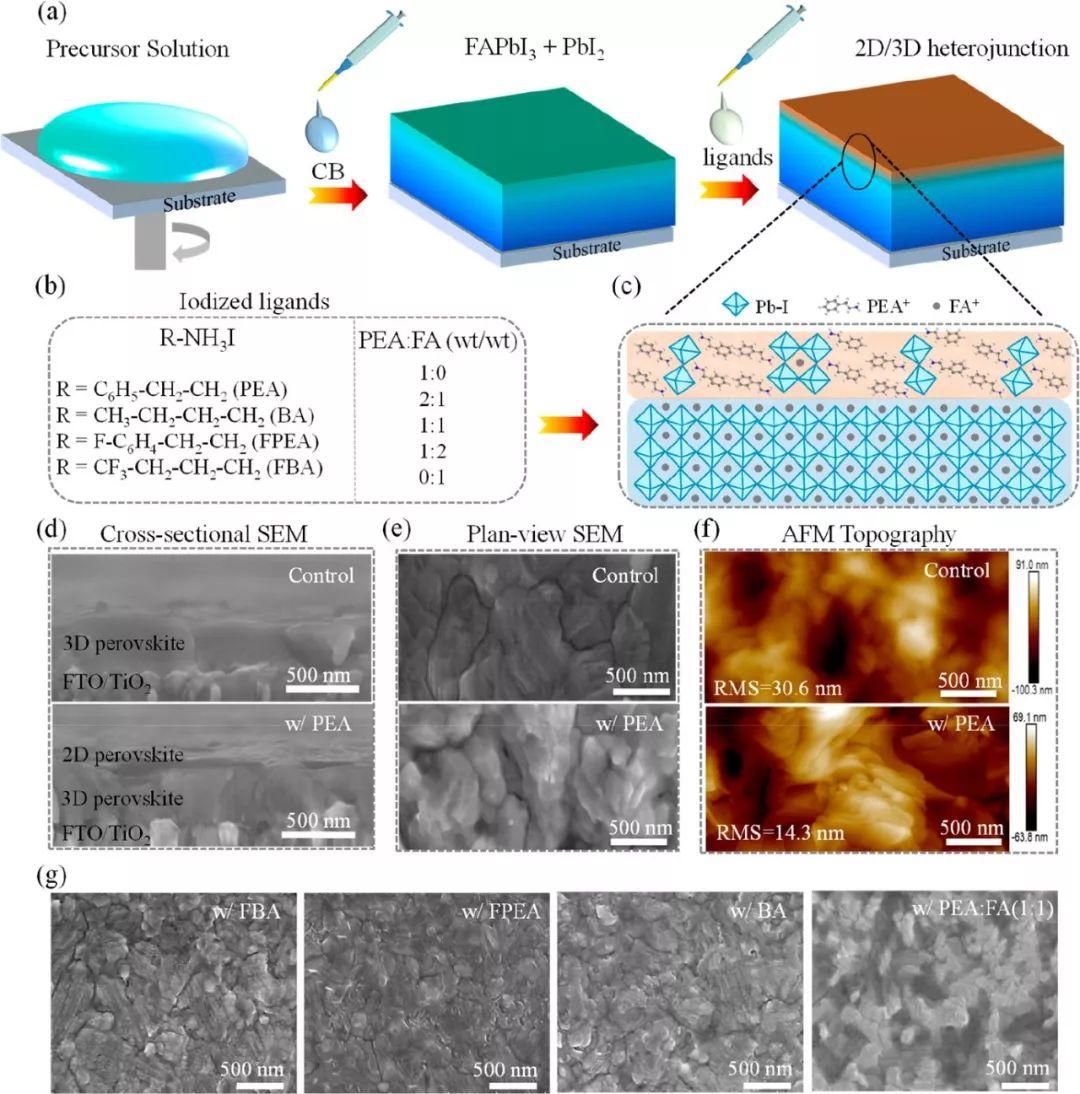 陕师大赵奎&刘生忠团队NANO LETTERS:  2D/3D异质结界面工程提升钙钛矿太阳能电池性能