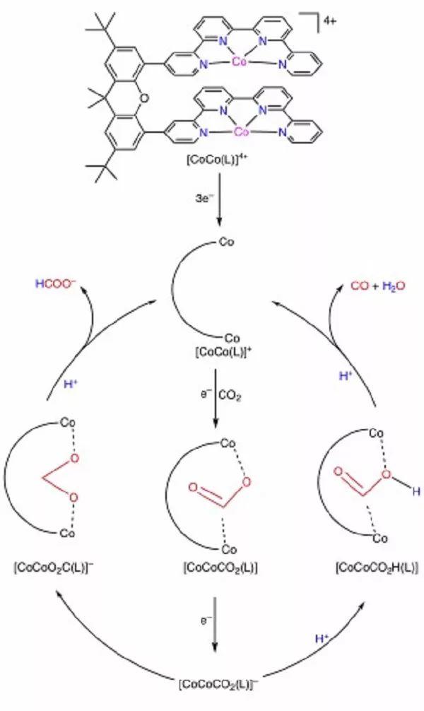 Nature Catalysis：CO or HCOO-？可见光催化CO2还原产物的选择性调控