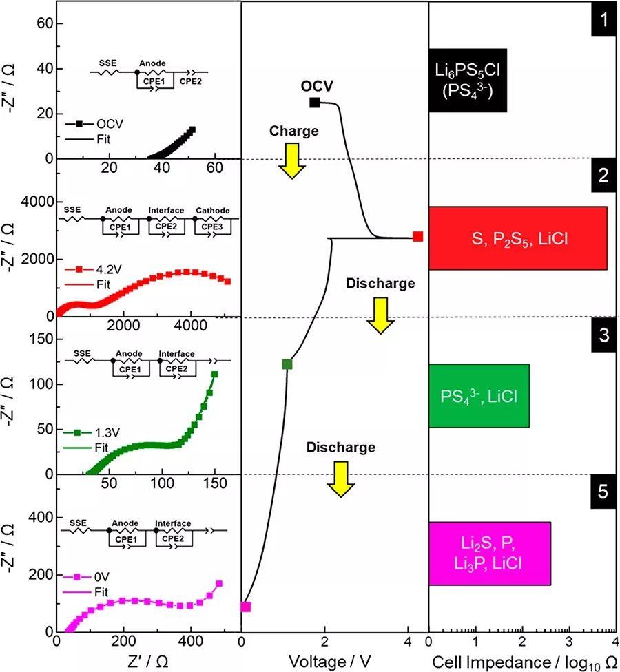 ACS Energy Lett: 硫化物固态电解质电化学分解反应机理研究