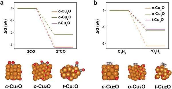 山大晶体材料国家重点实验室Adv. Sci. : 调控Cu2O纳米颗粒高效电催化还原CO2成C2H4