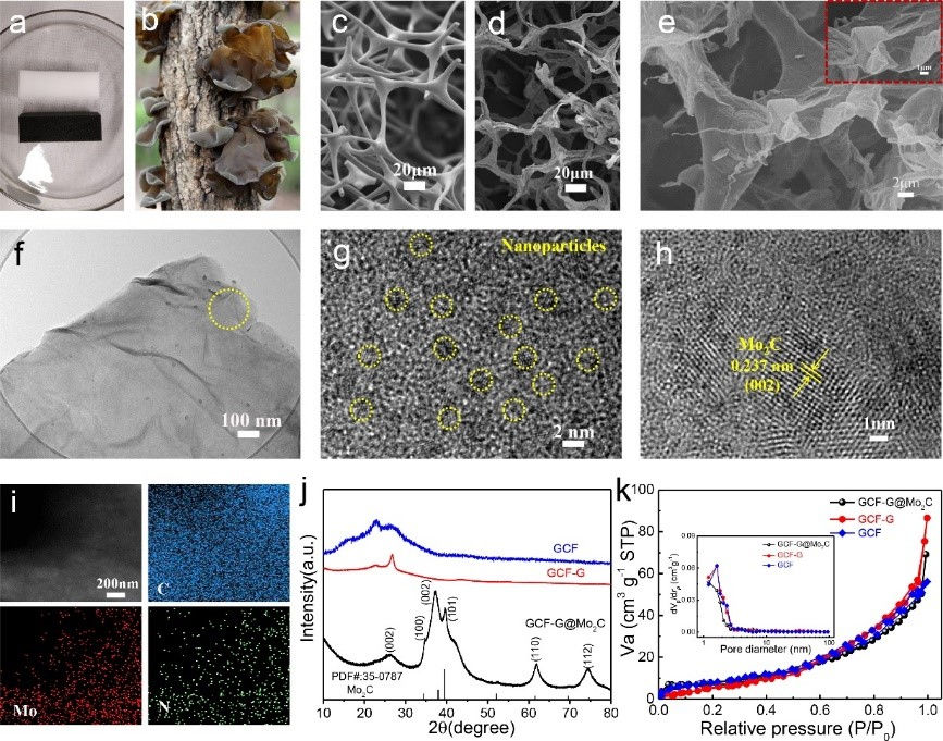 Mo2C 纳米颗粒助力自支撑的氮掺杂石墨烯作为高性能锂硫电极材料