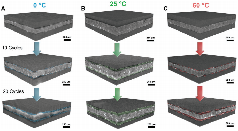 Adv. Mater：同步加速成像技术揭示锂金属负极的化学/物理微观结构对温度依赖