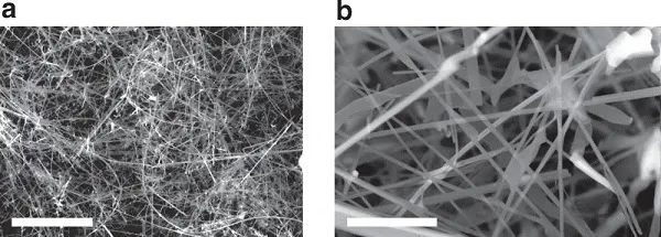 Nature子刊：快离子传导氮化锂按“石墨烯”的模式来生长