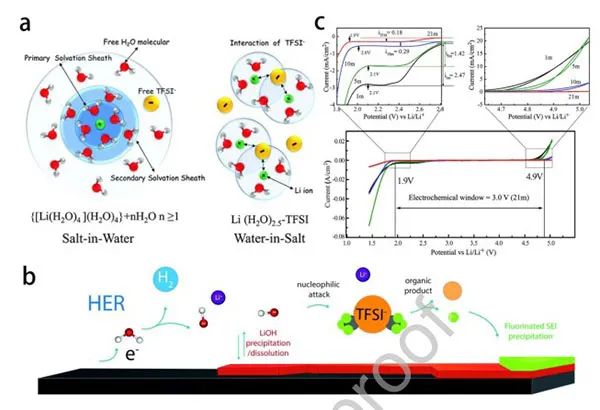 天津大学钟澄ESM综述：高能量密度水系电池的核心组件--盐包水电解质