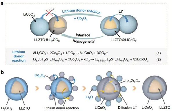 上硅所张涛Nature子刊：变废为宝—“去除”LLZO表面碳酸锂的新思路