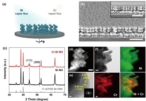 韩国浦项科技大学JACS: 亲氧过渡金属原子掺杂3D Ni纳米阵列促进碱性HER