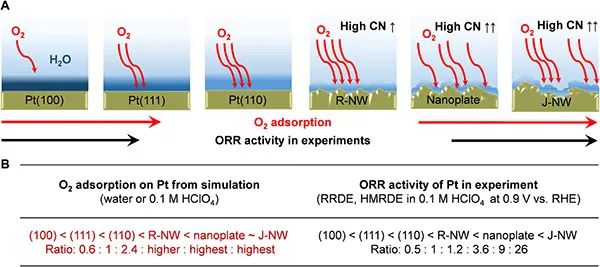 科罗拉多大学Sci. Adv.：氧还原反应中铂电极氧吸附与ORR活性的直接相关性
