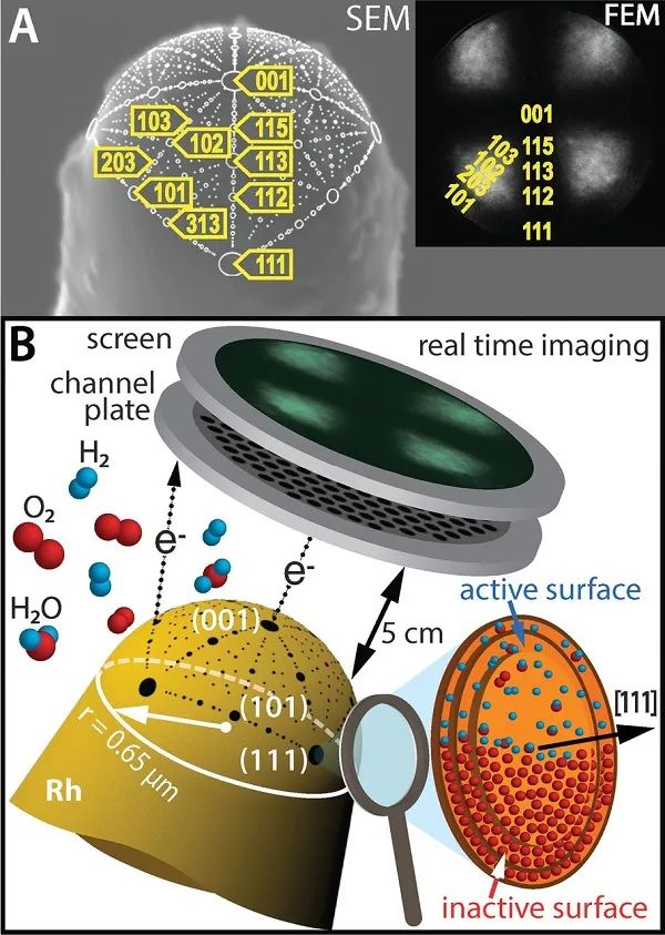 Science：高空间(~2nm)和时间分辨率(~2ms)的原位场电子显微镜，实现对活性位点的直接成像