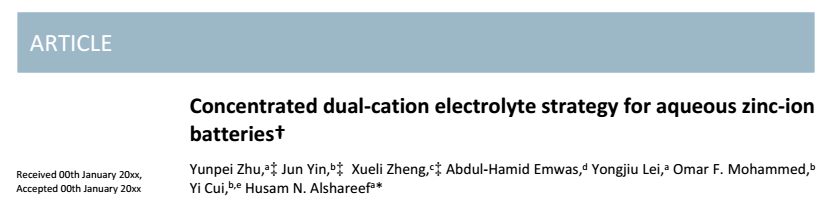 阿卜杜拉国王科技大学EES：双阳离子浓电解质策略突破水性锌离子电池关键问题