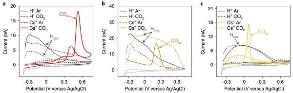 莱顿大学Nature Catalysis：电解液中阳离子的种类对CO2RR行为有何影响？