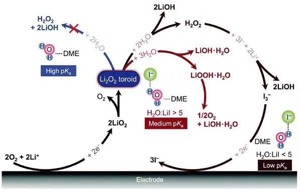 Adv. Mater.：小分子大作用，Li–O2电池用LiI添加剂研究进展