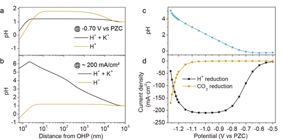 Nature Catalysis: 酸性CO2还原中金属离子的作用竟是这样？!