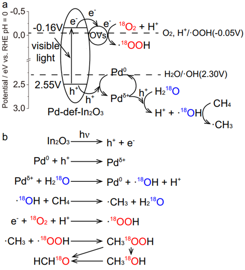 Nat. Commun：In2O3上Pd原子和氧空位的协同作用促进可见光下甲烷转化