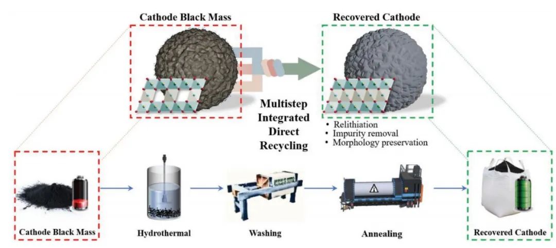 UCSD陈政最新AEM：预处理&还原法实现废旧电池正极的批量回收